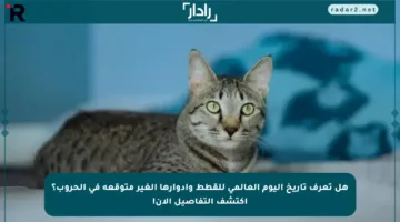 هل تعرف تاريخ اليوم العالمي للقطط وأدوارها الغير متوقعة في الحروب؟ اكتشف التفاصيل الآن!